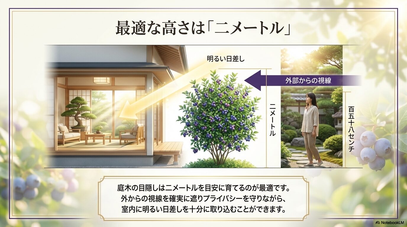 外部からの視線を遮り明るい日差しを取り込む、高さ2メートルのブルーベリーの庭木