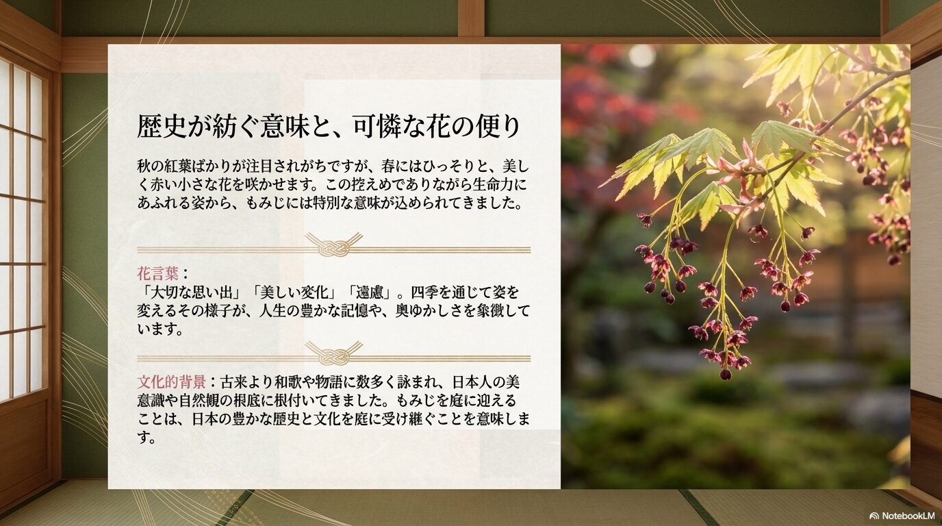もみじの花言葉「大切な思い出」「美しい変化」や文化的背景についての解説スライド