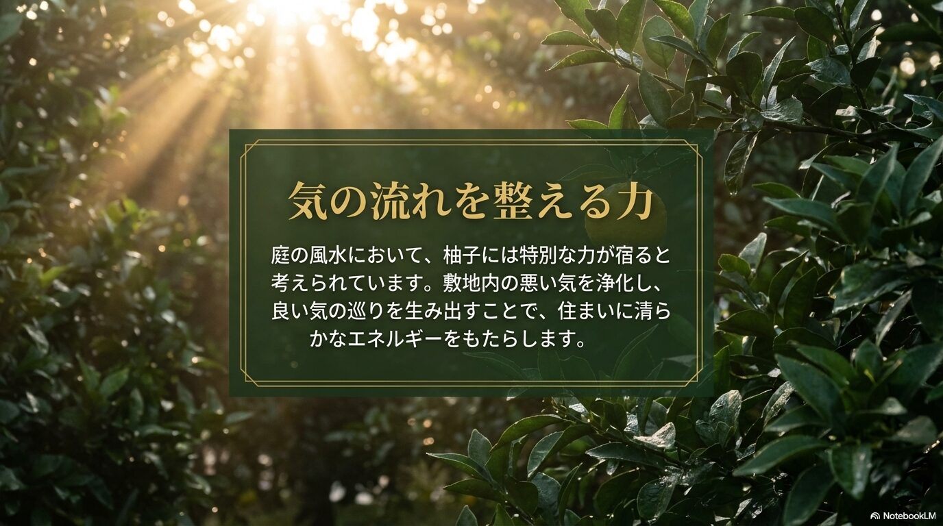 敷地内の気の流れを整え良いエネルギーをもたらす柚子