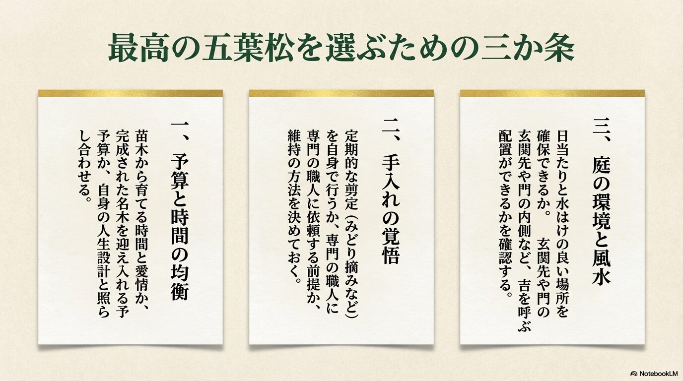 予算と時間の均衡、手入れの覚悟、庭の環境と風水という、購入前に確認すべき五葉松選びの3つの重要ポイント