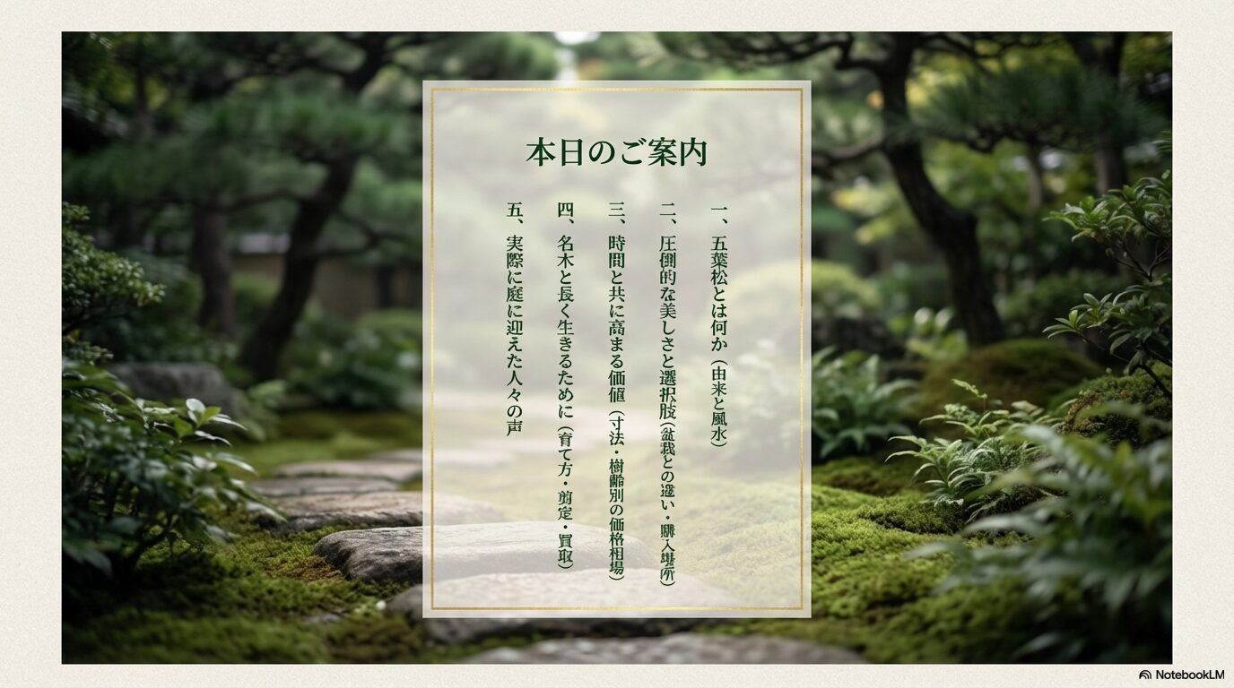 五葉松の由来や風水、盆栽との違い、寸法や樹齢別の価格相場、育て方や剪定など、記事全体で解説する5つのテーマ一覧