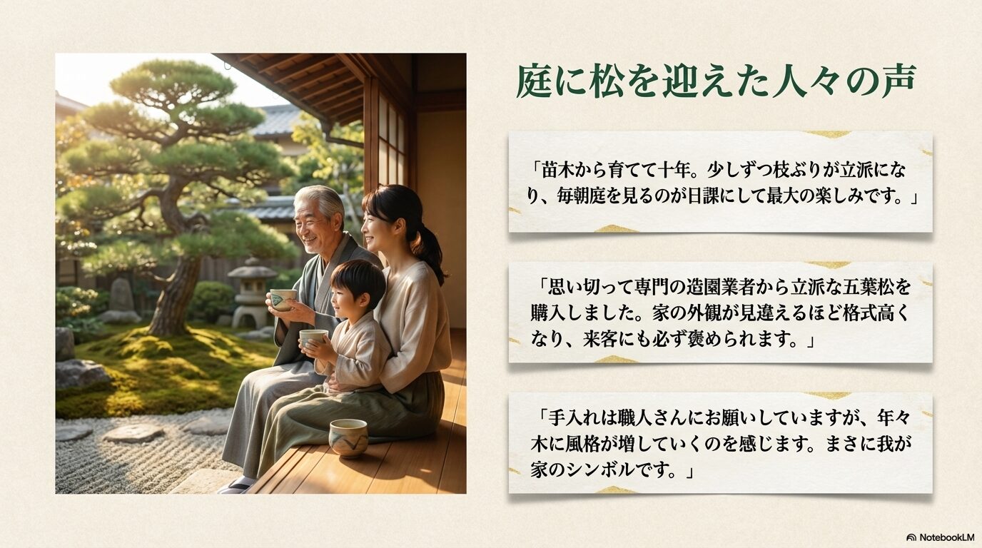 庭の立派な五葉松を眺めながら縁側でお茶を楽しむ家族と、五葉松を購入し育成している人々のリアルな感想レビュー