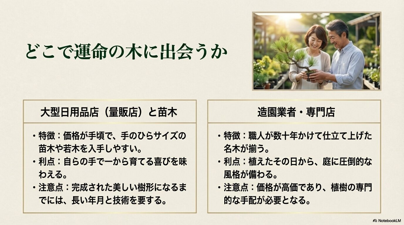 ホームセンター等の大型日用品店と造園業者等の専門店における、五葉松の購入メリットと注意点の比較