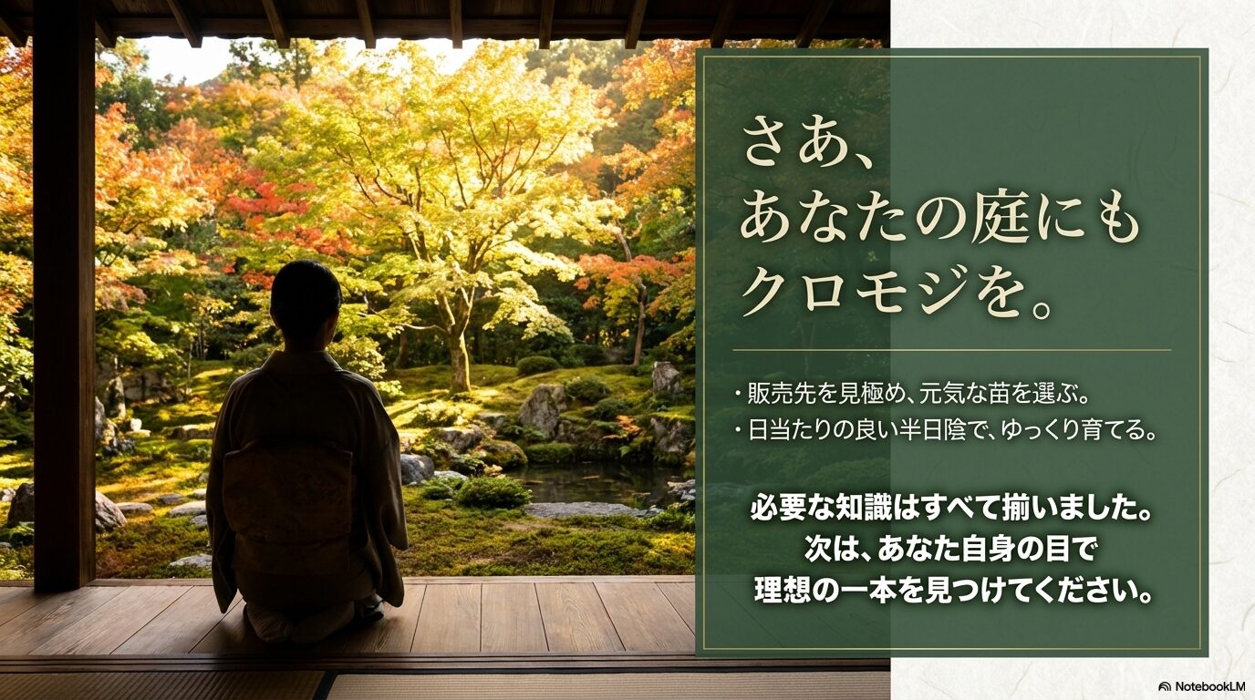 理想のクロモジを見つけるためのまとめ