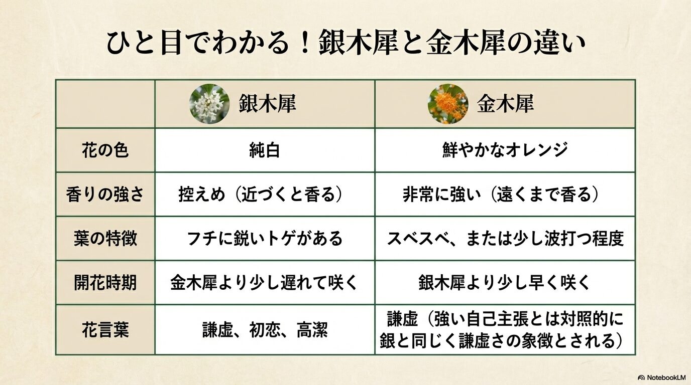 銀木犀と金木犀の花の色、香りの強さ、葉の特徴、開花時期、花言葉の違いをまとめた比較表