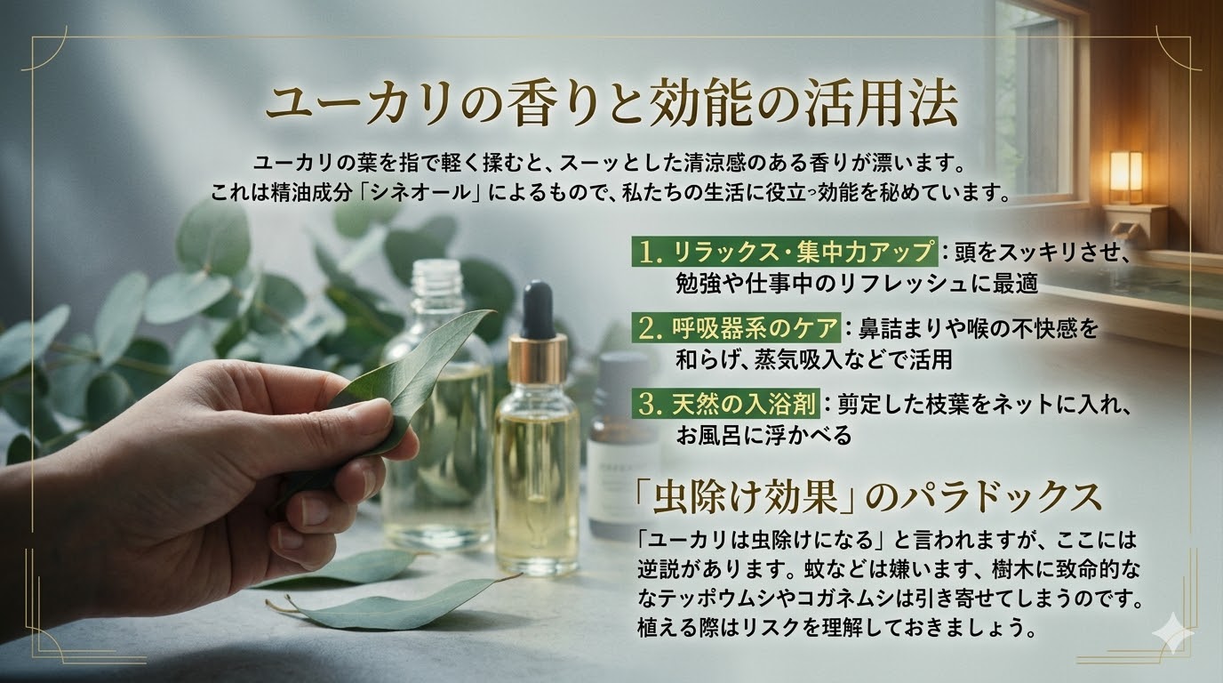 ユーカリの香りと効能の活用法スライド画像