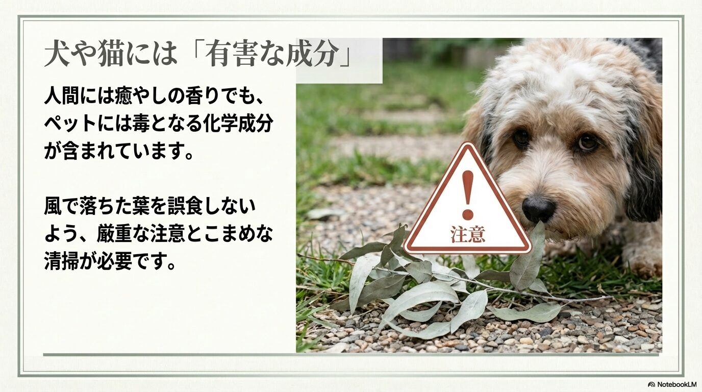 犬や猫には有害な成分が含まれており、落ちた葉の誤食に厳重な注意が必要なユーカリ