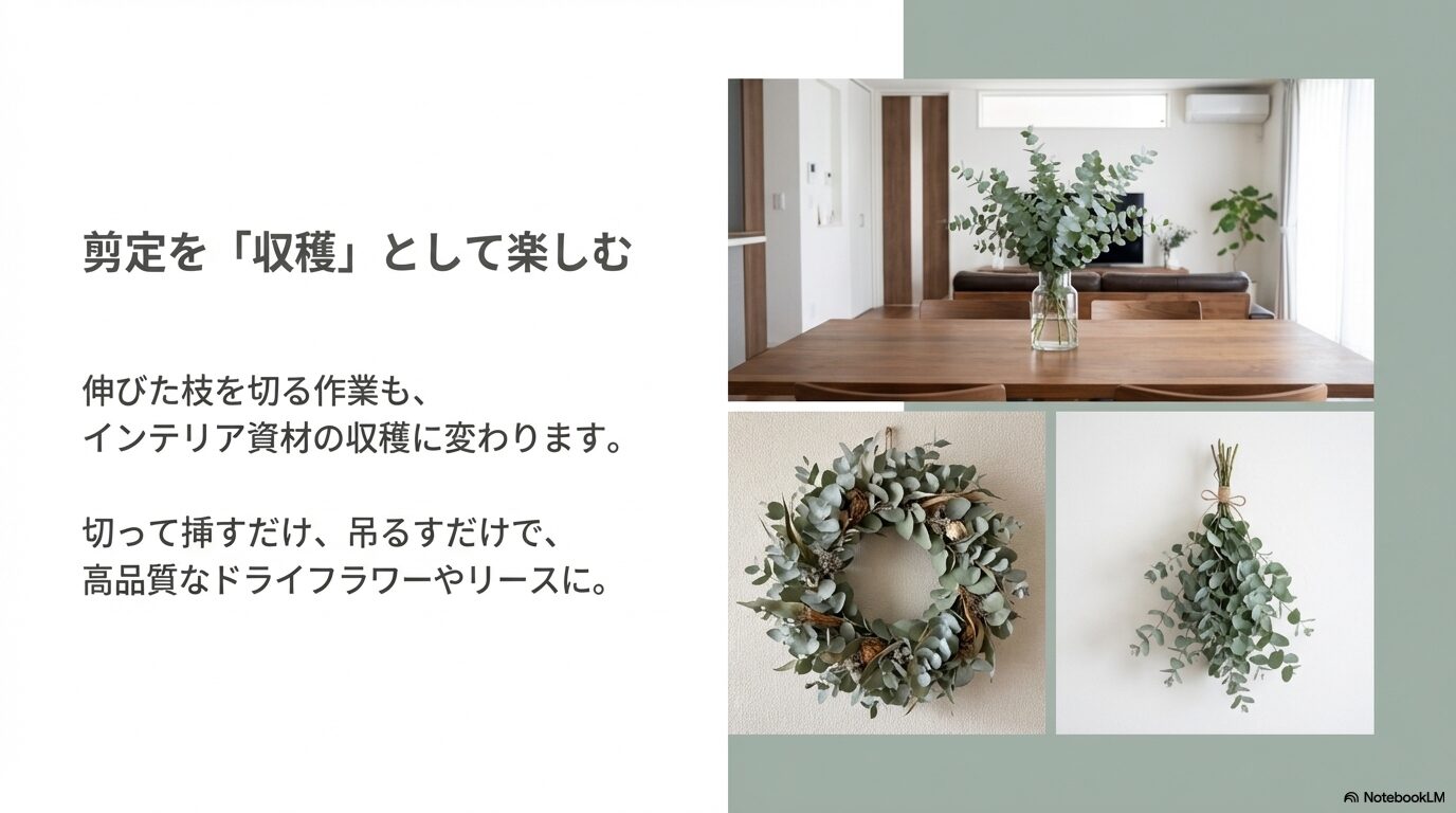 剪定したユーカリの枝で作ったおしゃれなドライフラワーやリースのインテリア