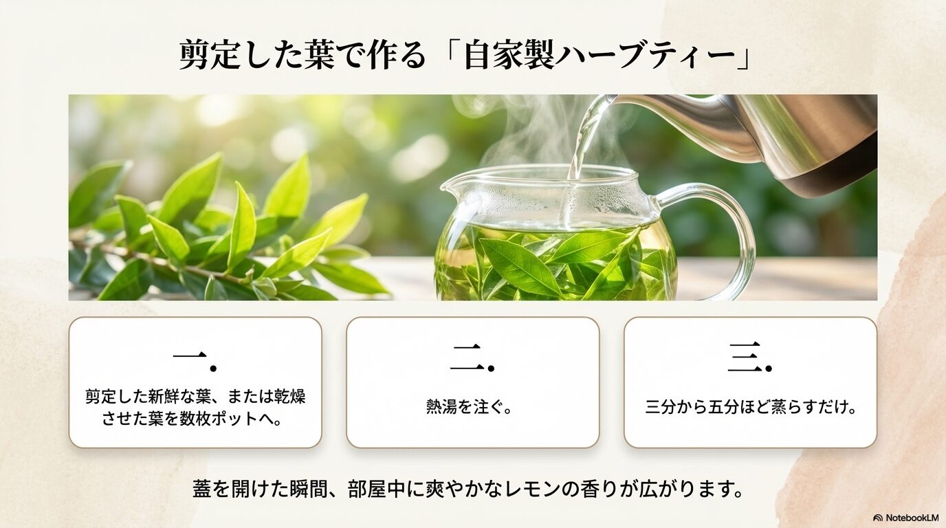 剪定した新鮮な葉に熱湯を注いで3〜5分蒸らして作る自家製ハーブティー
