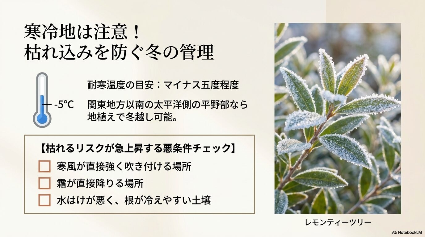 耐寒温度の目安マイナス5度と、寒風や霜など枯れるリスクが急上昇する悪条件のチェックリスト