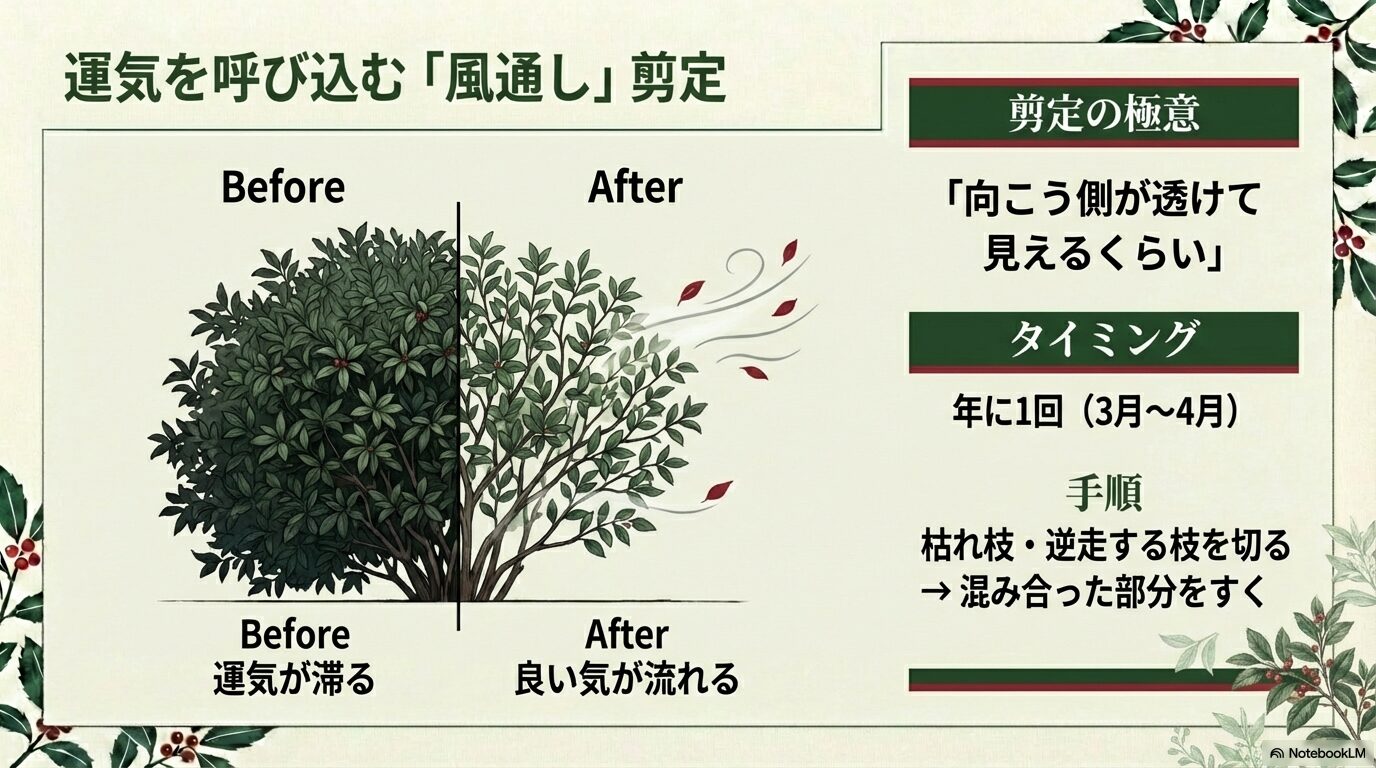 アオキの透かし剪定の方法とビフォーアフター図解