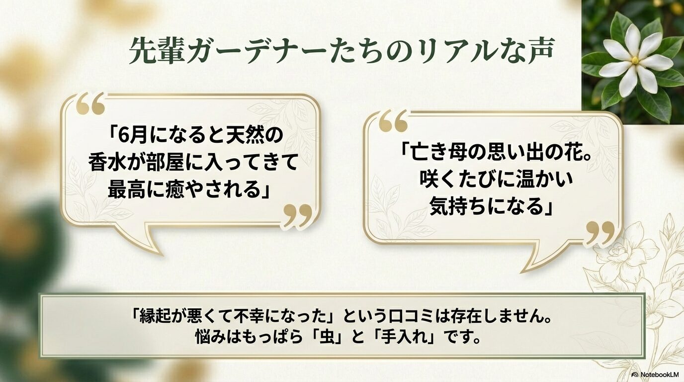 クチナシを育てている人の口コミ。「天然の香水に癒やされる」「亡き母の思い出の花」といった肯定的な意見と、悩みは「虫と手入れ」であることを紹介。