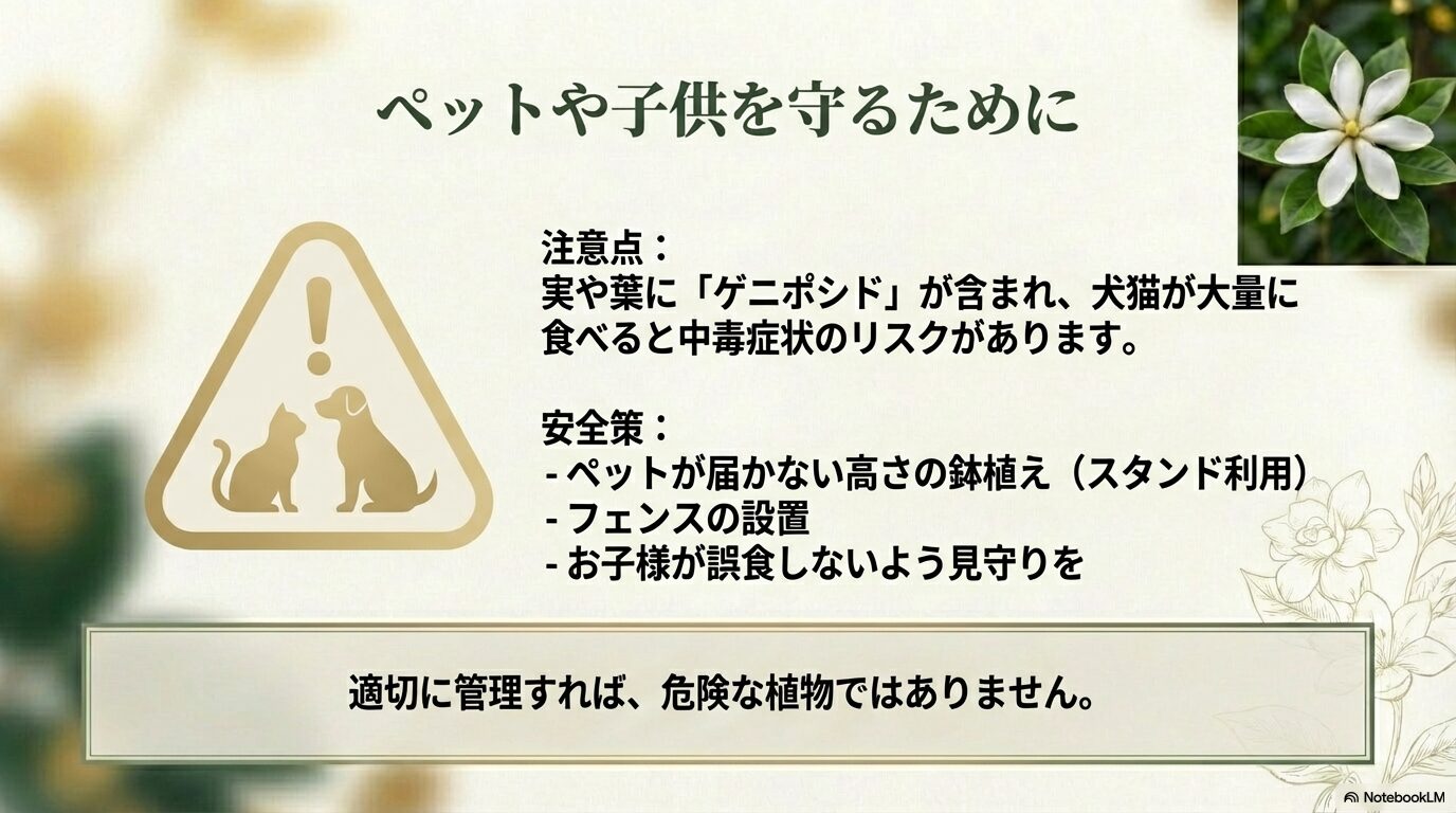 クチナシの毒性成分ゲニポシドについてと、ペットや子供を守るための安全対策(鉢植えスタンド、フェンス、見守り)のイラスト解説。