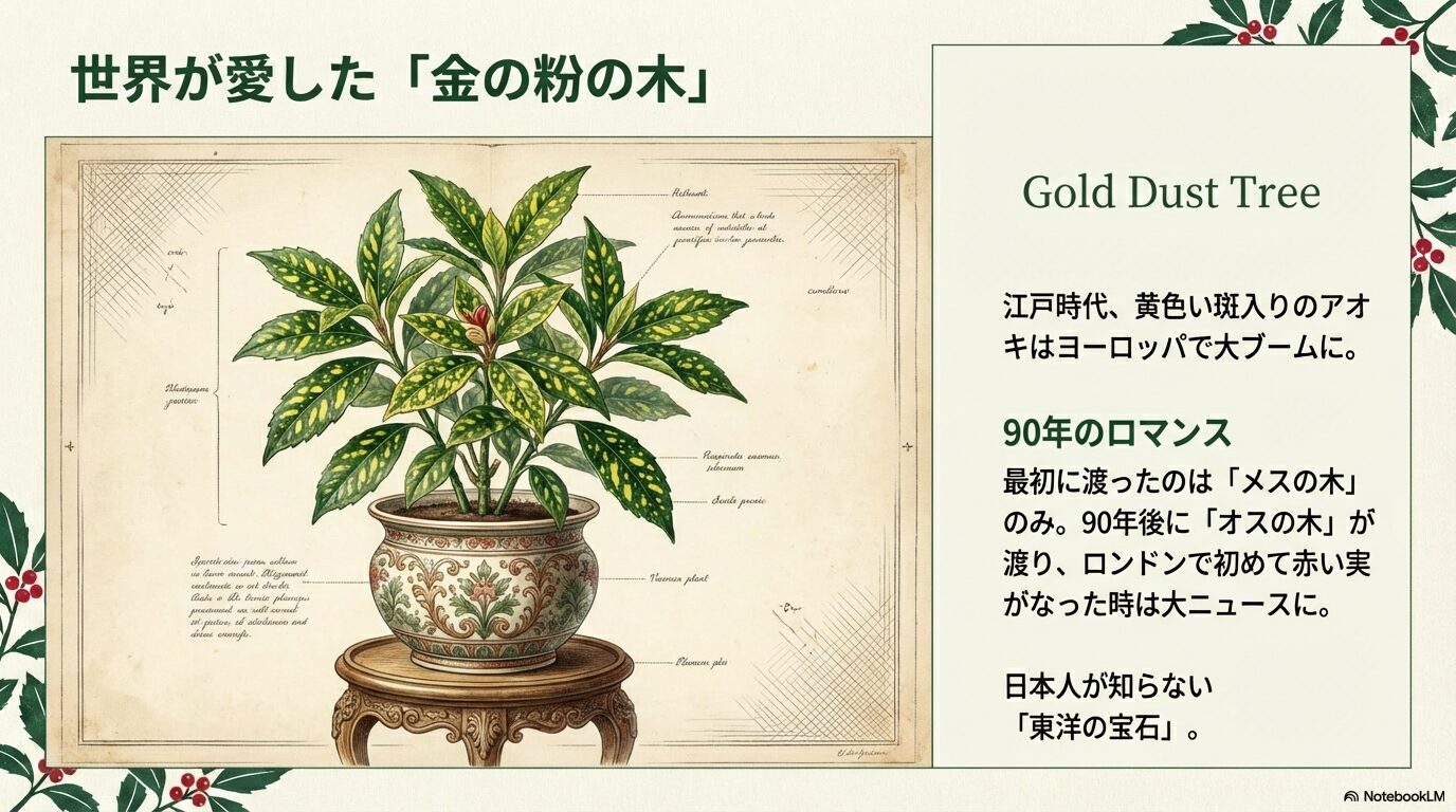 江戸時代にヨーロッパでブームになった斑入りアオキの歴史