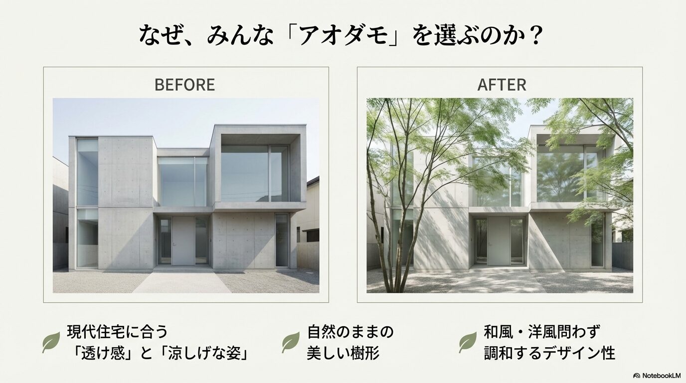 アオダモ植栽によるモダン住宅の外観ビフォーアフター比較