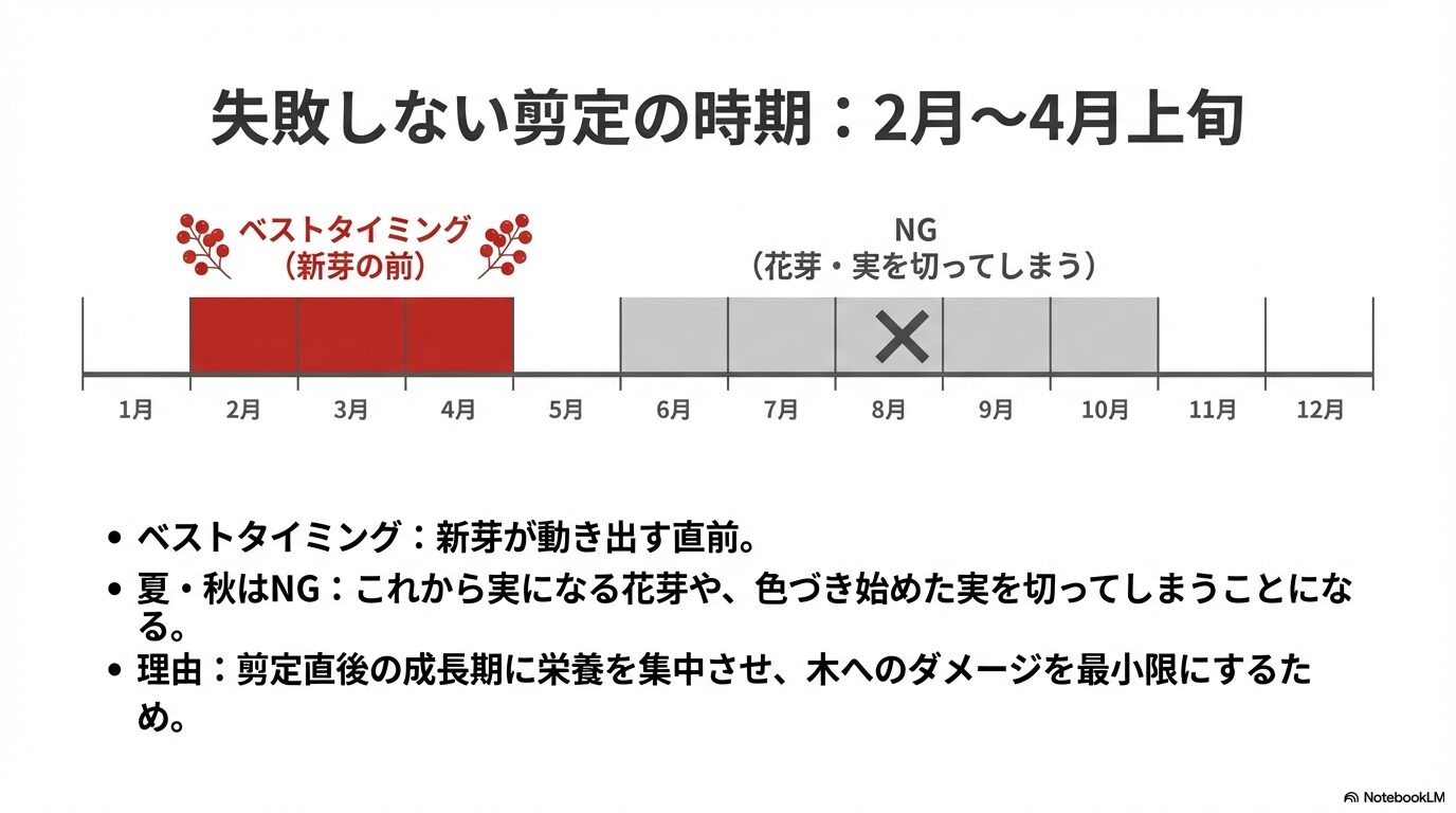 南天の剪定に最適な時期(2月〜4月)と避けるべき時期を示した年間カレンダー