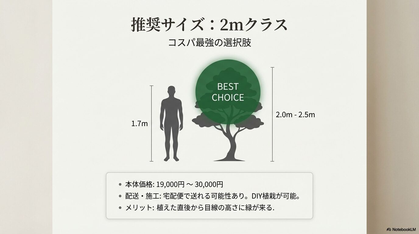 一般住宅に最適なコスパ最強の2mクラスアオダモの推奨サイズ