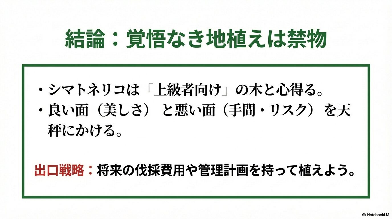 シマトネリコを植える際の結論。覚悟と出口戦略を持って庭づくりを行うことの重要性