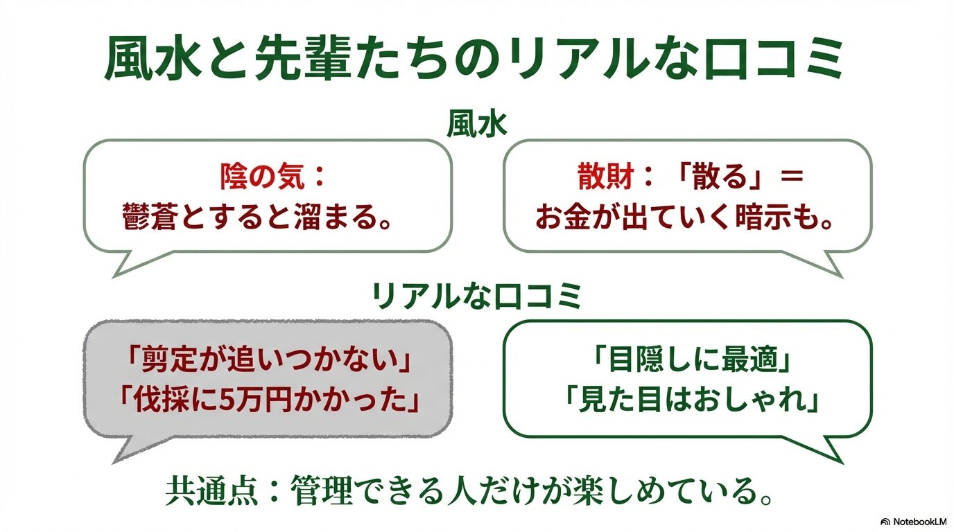 シマトネリコの風水的な懸念(陰の気・散財)と実際に植えている人のリアルな口コミまとめ