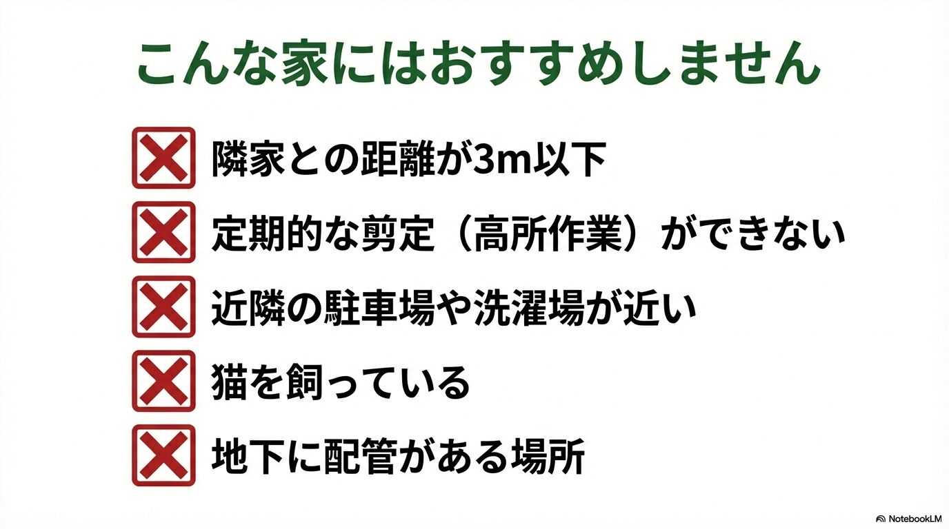 シマトネリコの地植えをおすすめしない家の条件チェックリスト。狭小地や配管がある場所など