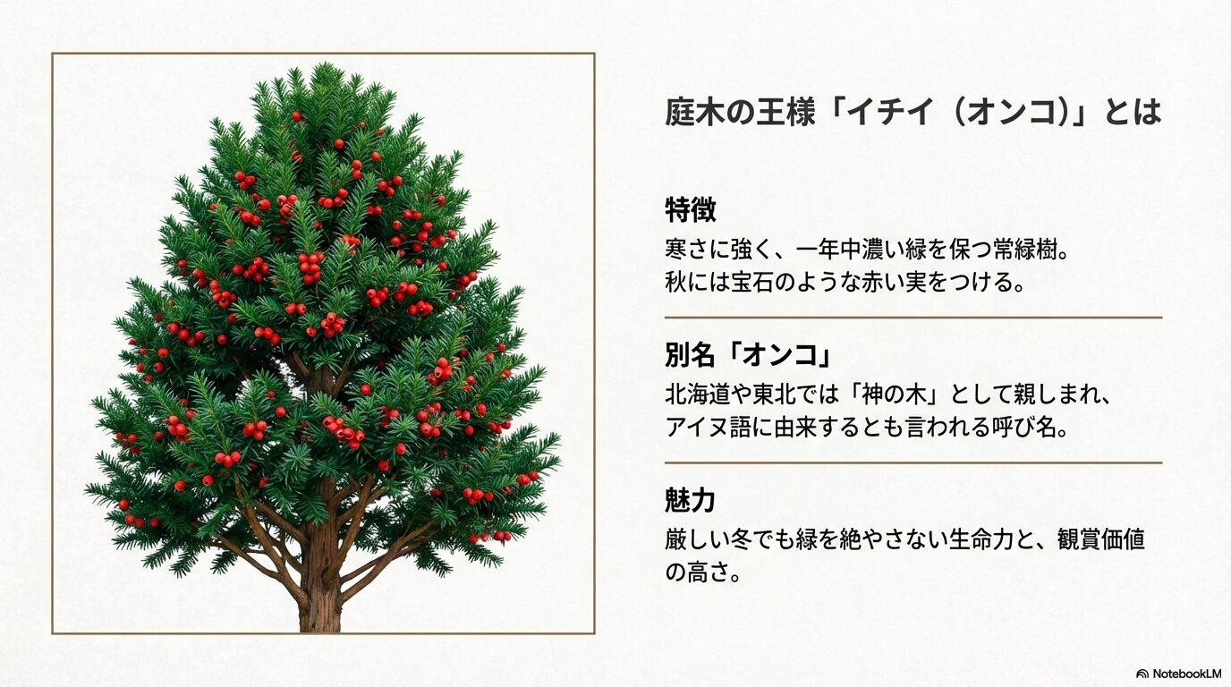 イチイ(オンコ)の庭木販売で購入前に知っておくべき価格相場・育て方・毒性の要点まとめ