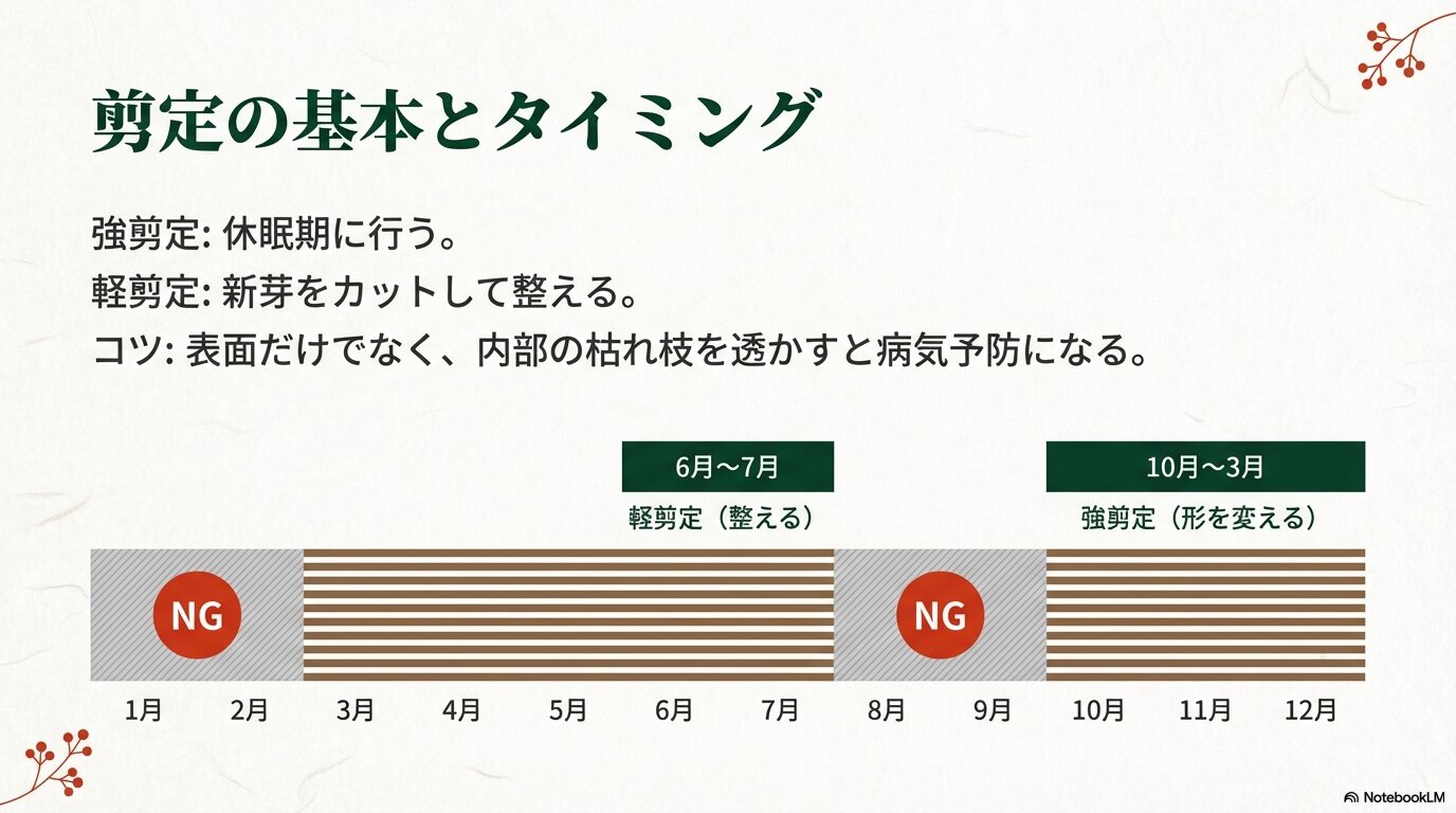 イチイを小さく維持するための剪定時期(強剪定・軽剪定)と芯止めの方法を図解