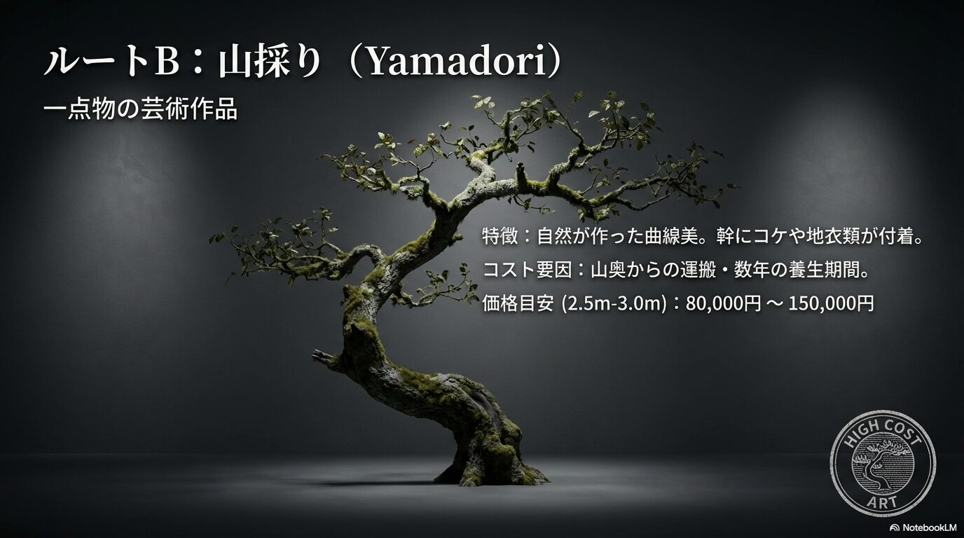 自然が作った曲線美が特徴的な山採りアオダモのエンブレム