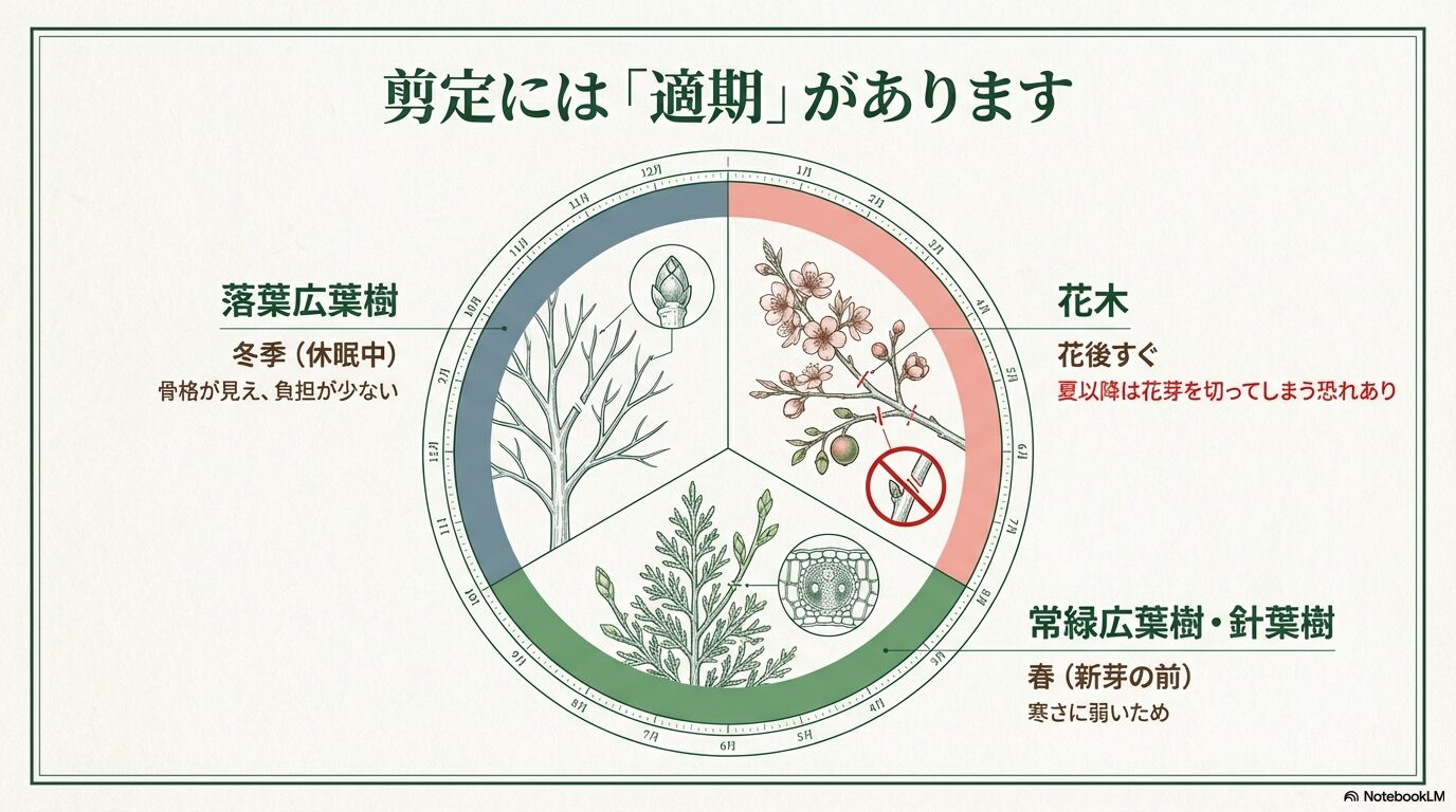 樹種別の剪定適期カレンダー(落葉樹・常緑樹・針葉樹)
