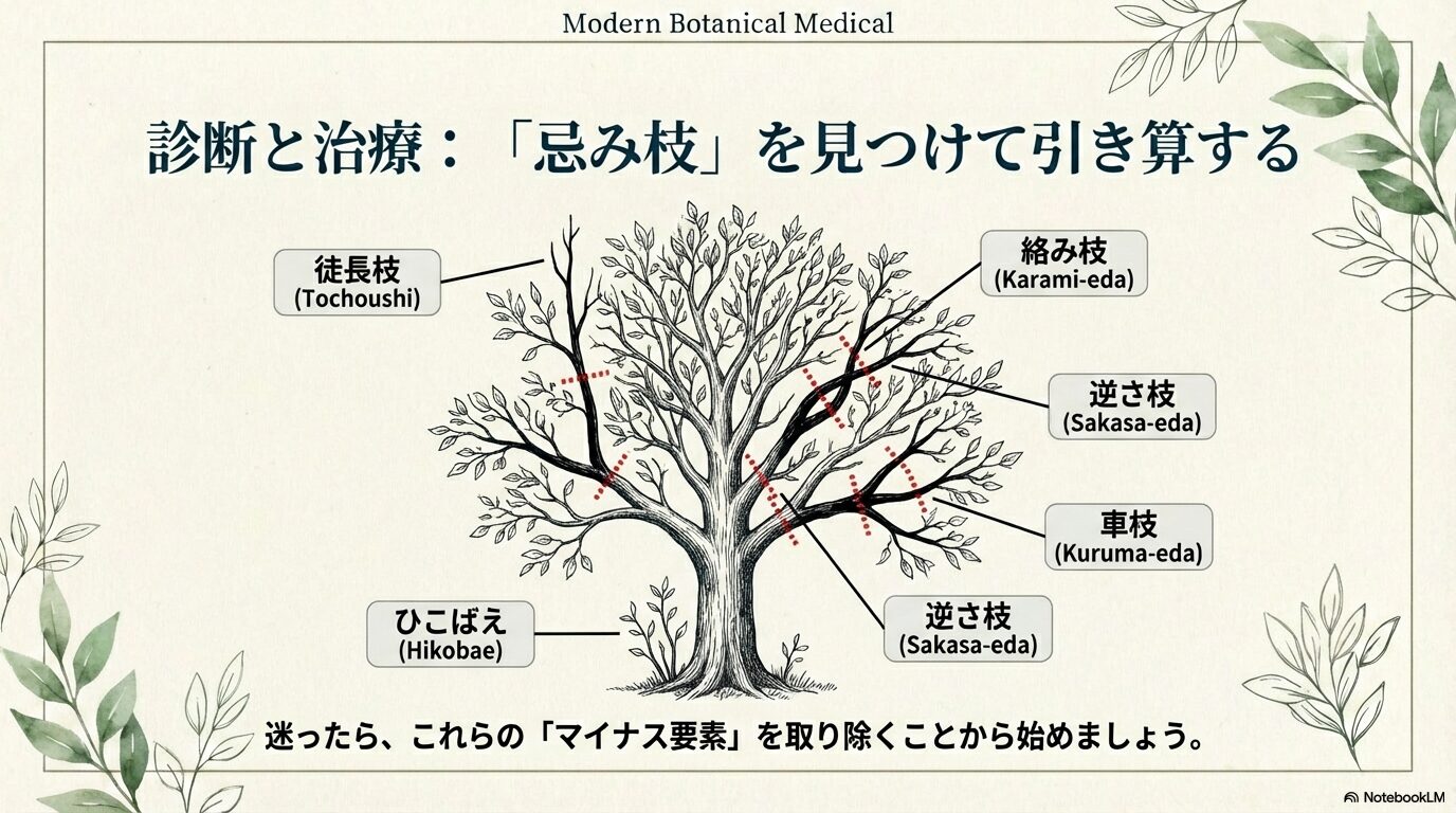 不要な枝を取り除く引き算の剪定の基本的な考え方