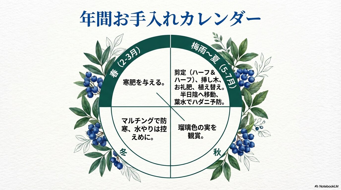 春の寒肥から、初夏の剪定・挿し木、秋冬の防寒対策までをまとめた常山アジサイの年間お手入れスケジュール