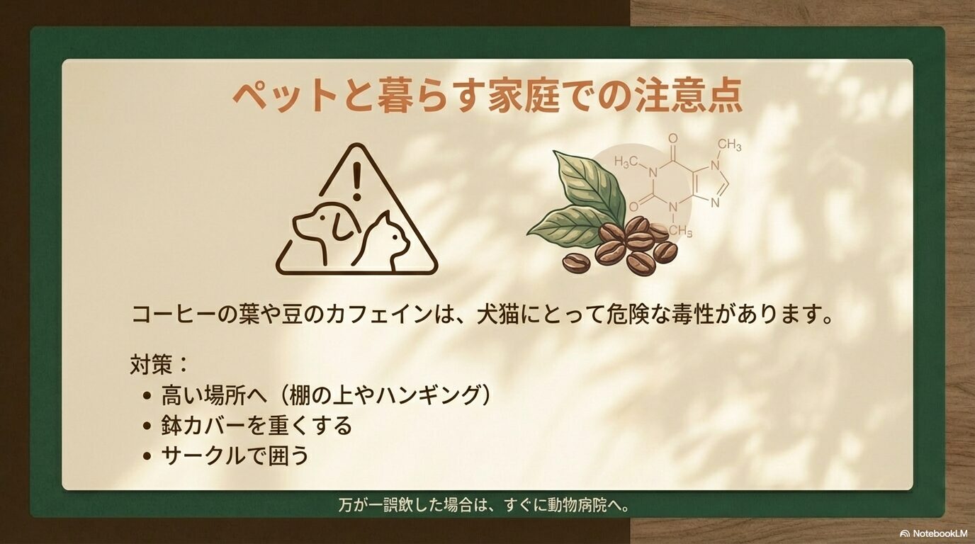 コーヒーの葉や豆に含まれるカフェインの犬猫に対する毒性と対策をまとめたスライド