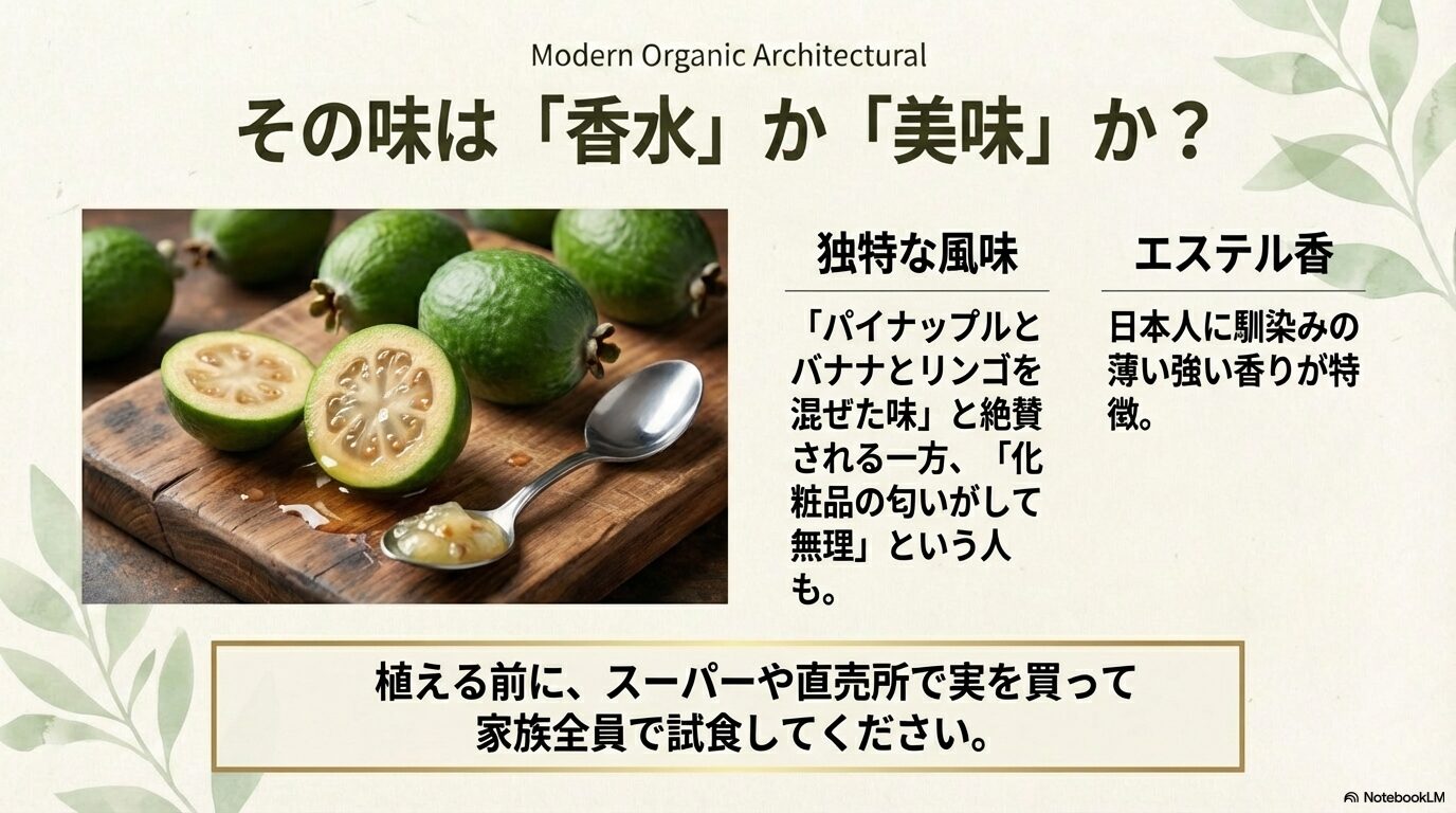 フェイジョアの実は香水のような独特な味で好みが分かれる