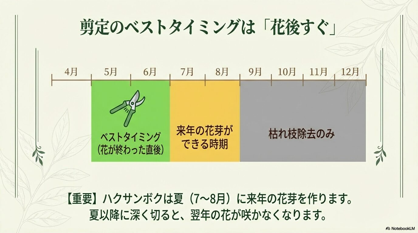 4月から12月までのカレンダー形式で、剪定のベストタイミング（5-6月）と花芽ができる時期（7-8月）を図解。「夏以降に深く切ると花が咲かなくなる」という注意点を記したスライド