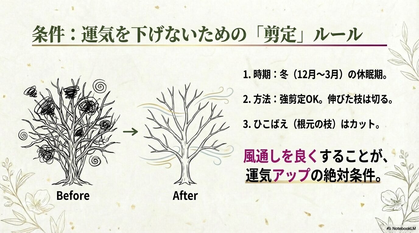 運気を下げないための剪定ルール。冬の休眠期に行う強剪定や、根元から出るひこばえのカット位置を図解