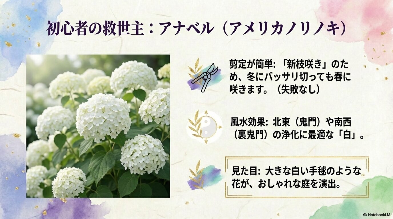 初心者におすすめの剪定が簡単な白い紫陽花アナベル