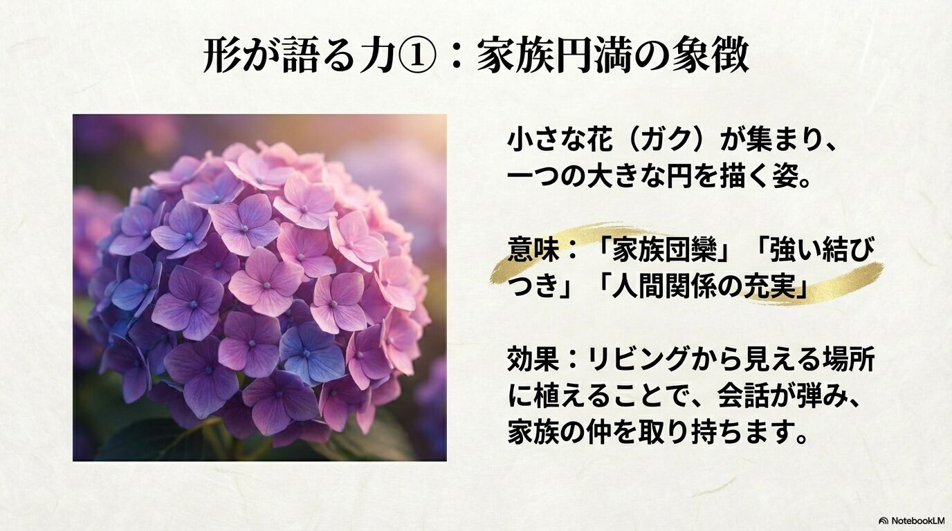 小さな花が集まって円を描く紫陽花の家族団欒の象徴