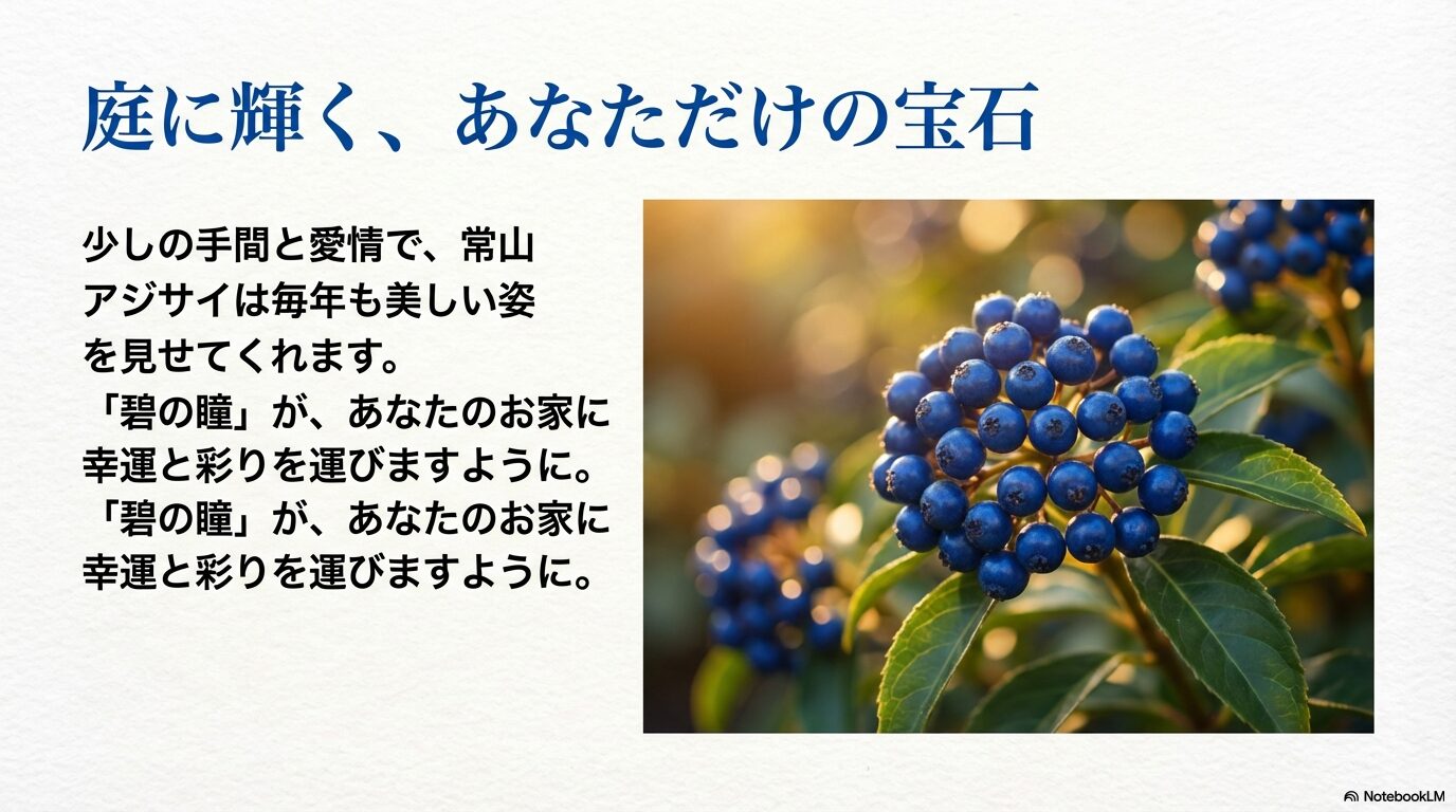 少しの手間と愛情で美しい姿を見せ、お家に幸運と彩りを運ぶ常山アジサイ
