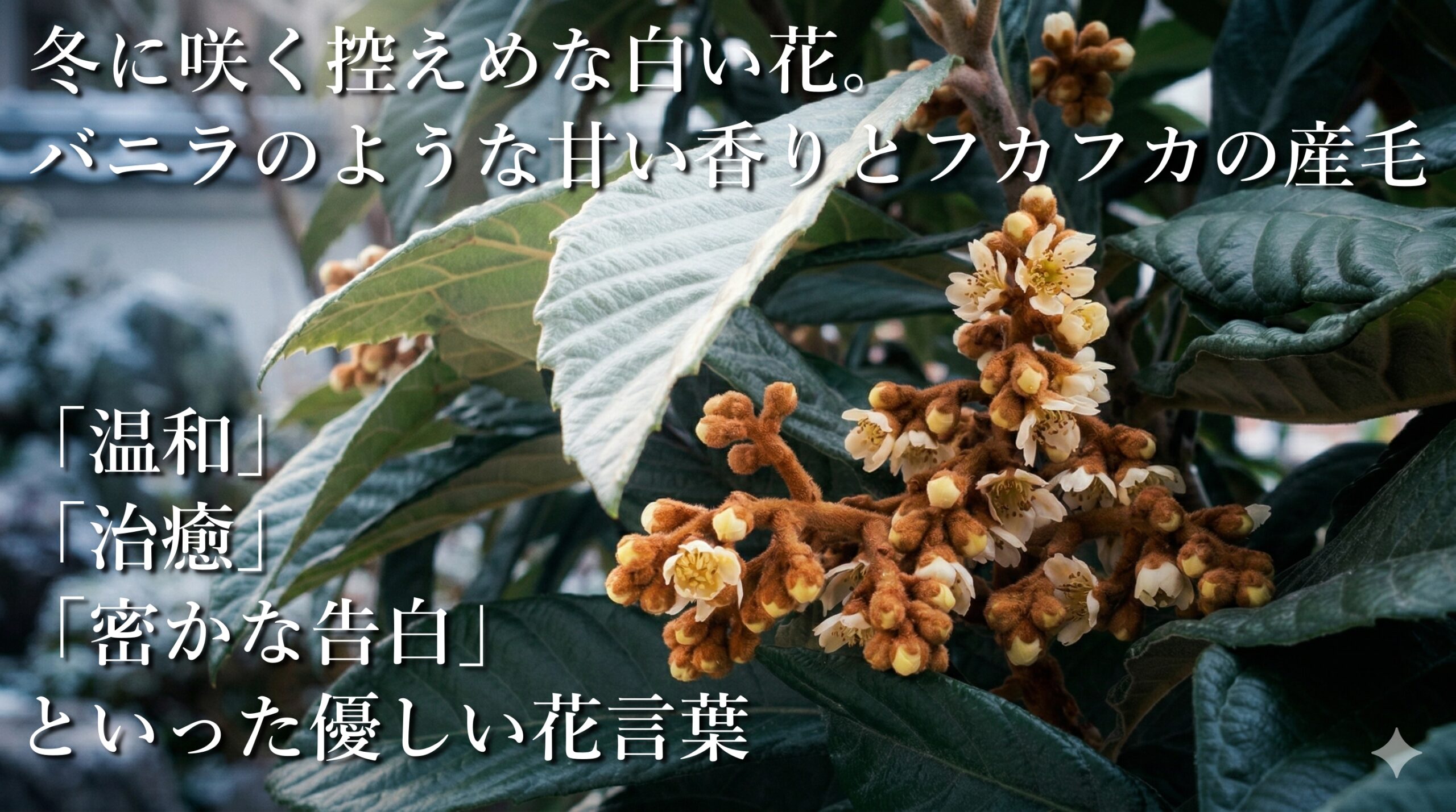 枇杷（ビワ）の木を庭に植えてはいけない？迷信の真実と正しい対処法