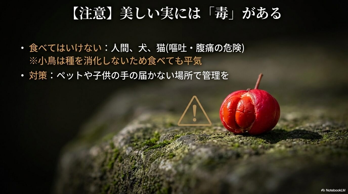 マユミの種子に含まれる毒性と、人間やペット（犬・猫）が誤食しないための注意点
