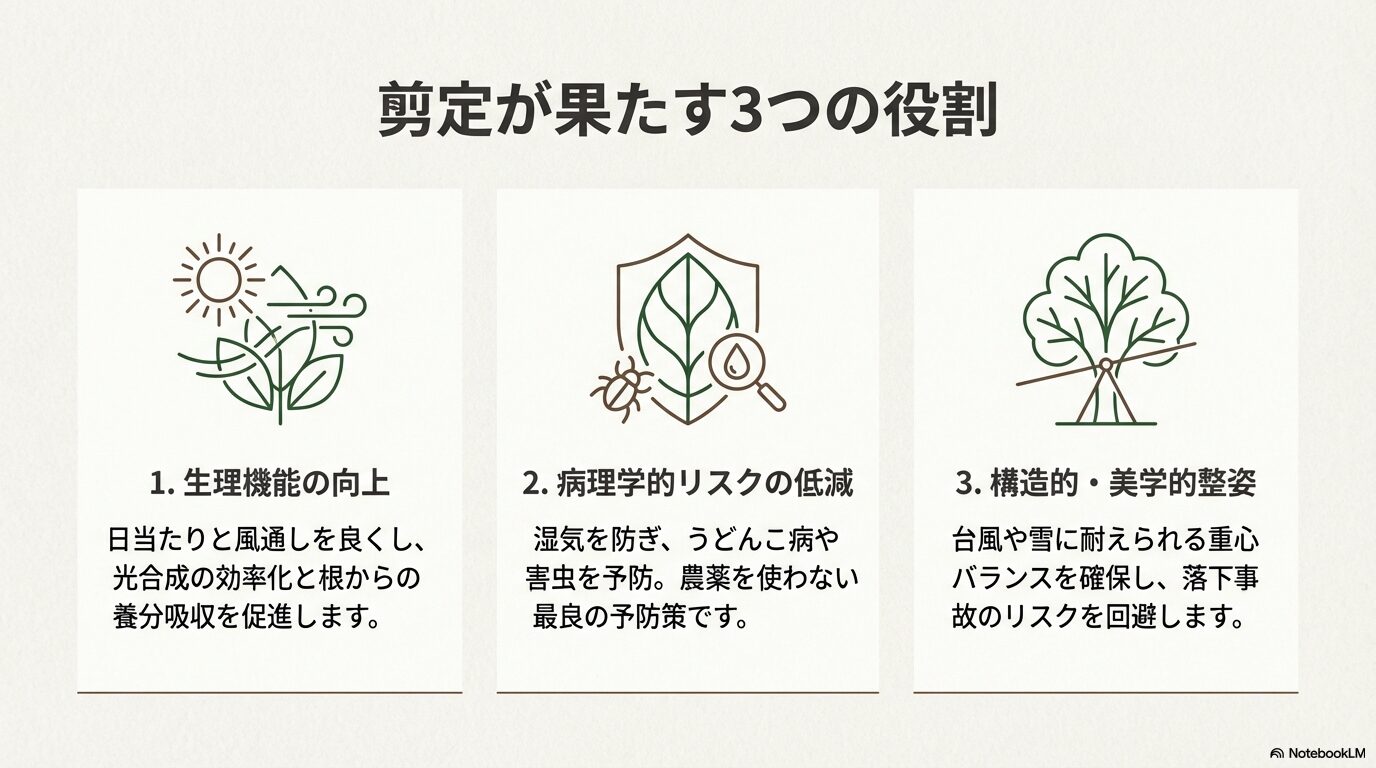 庭木剪定が果たす生理機能向上・病気予防・構造的整姿の3つの役割