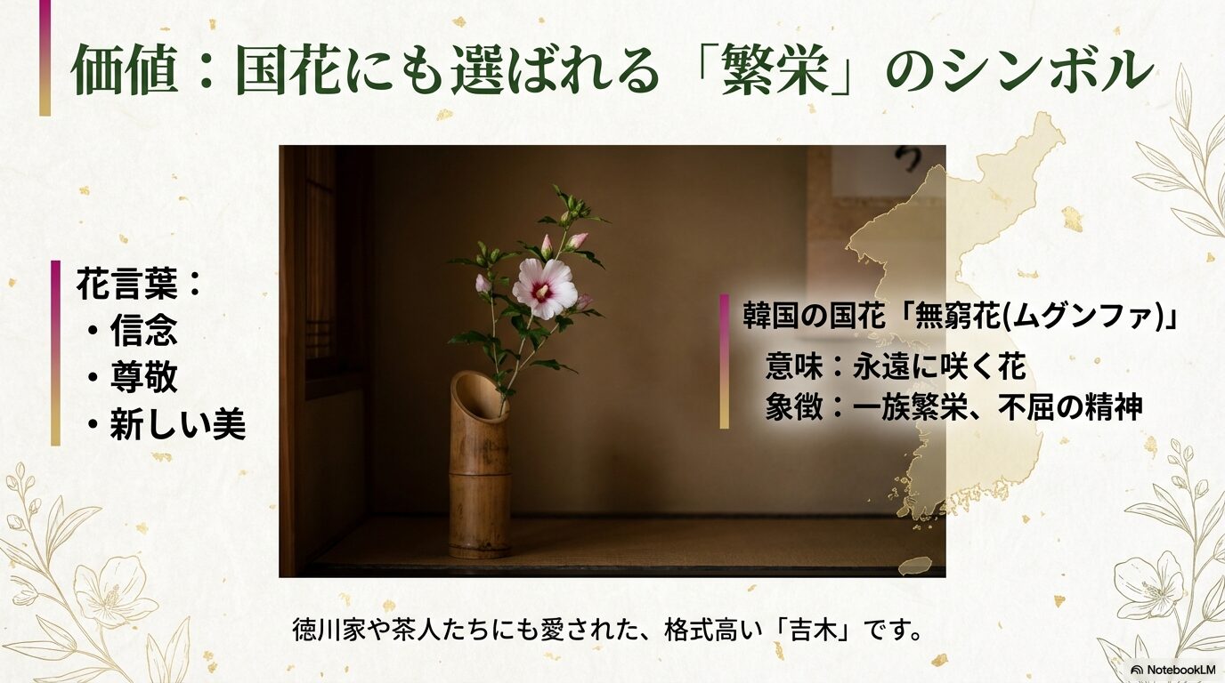 信念・尊敬などの花言葉や、韓国の国花として一族繁栄や不屈の精神を象徴するムクゲの吉木としての価値