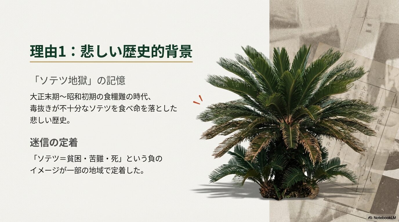 ソテツを植えてはいけない理由の根源となった大正末期の食糧難とソテツ地獄の歴史
