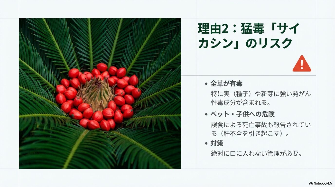 ソテツの猛毒成分サイカシンによるペットや子供の誤食事故・中毒リスクへの対策