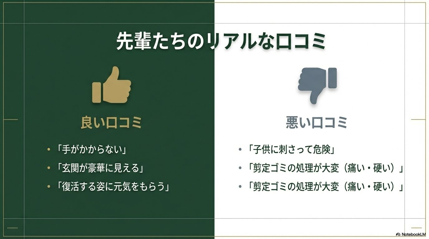 庭のソテツに関する良い口コミ（手入れが楽・豪華）と悪い口コミ（トゲ・ゴミ処理）の比較
