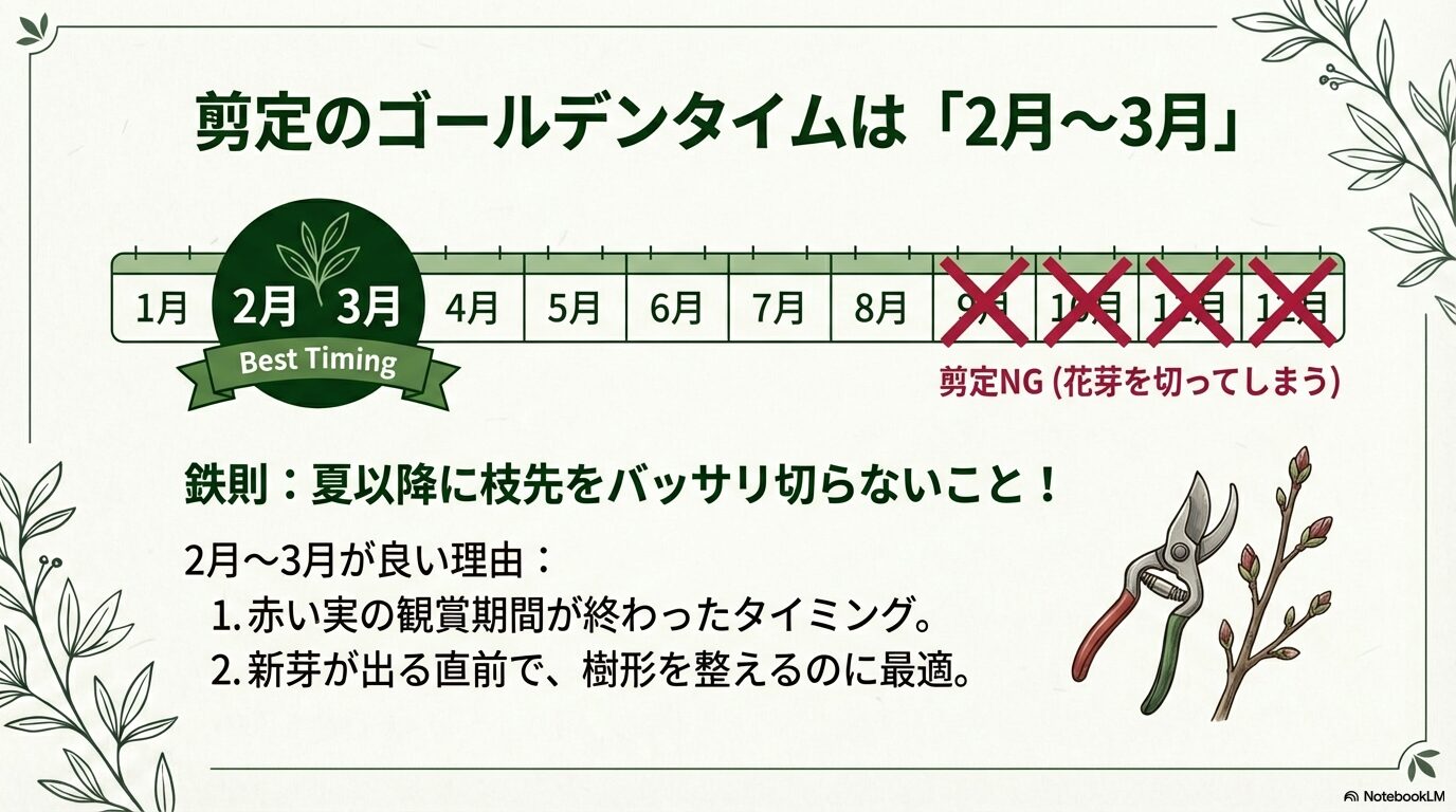 実の観賞が終わる2月から3月がソヨゴの剪定に最適であることを示す年間カレンダースライド