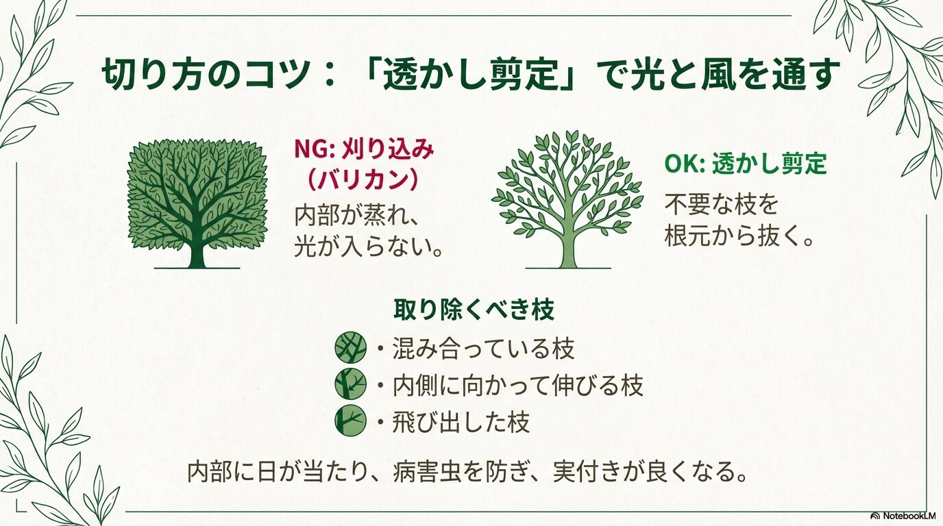内部の風通しを良くする「透かし剪定」の具体的な切り方と、NGな刈り込み剪定を比較した図解