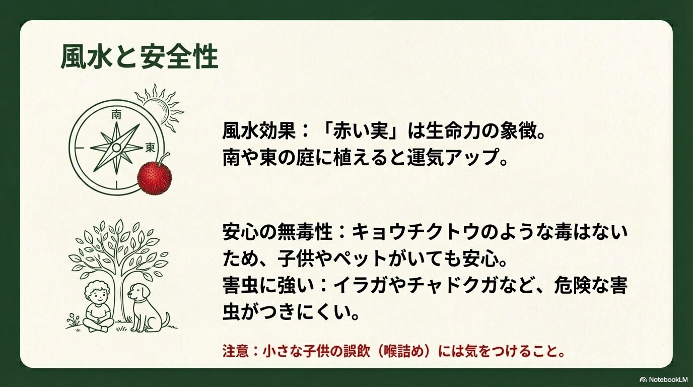 イチゴノキの風水効果と無毒性による安全性についての解説