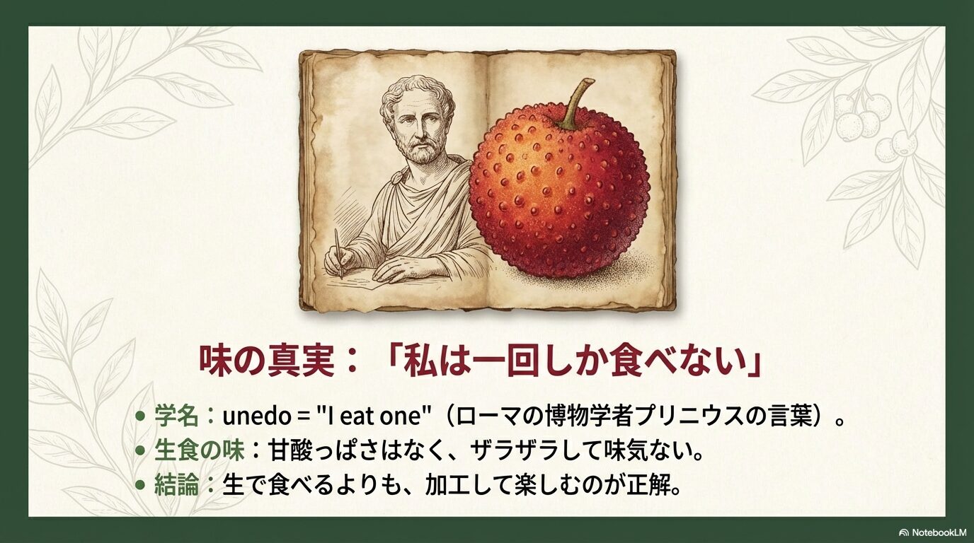 古代ローマの博物学者プリニウスが語ったイチゴノキの実の味の真