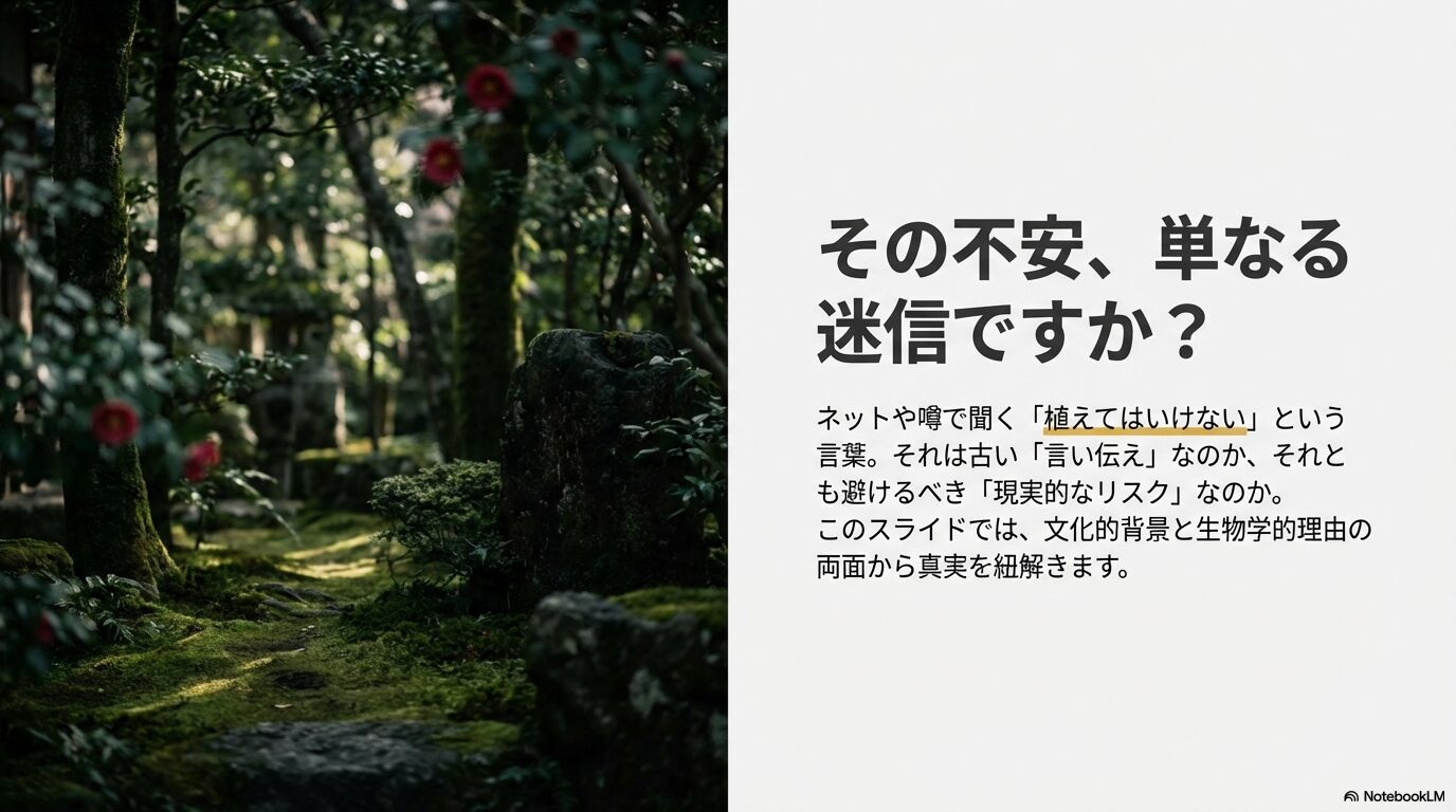 ネットで噂される椿を植えてはいけないという言葉が単なる迷信か現実的なリスクか真実を紐解く
