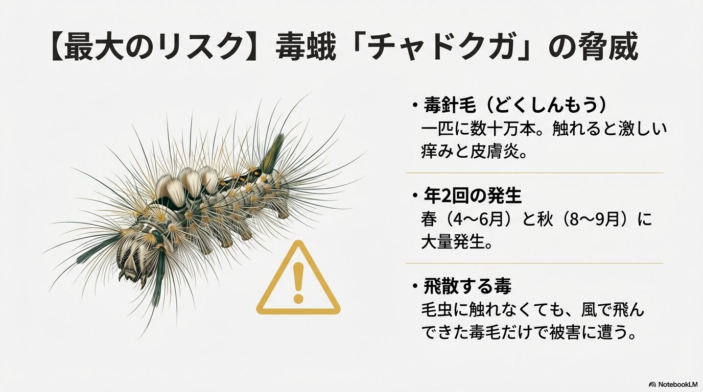 椿に大量発生する毒蛾チャドクガの脅威と毛虫皮膚炎を引き起こす毒針毛のリスク